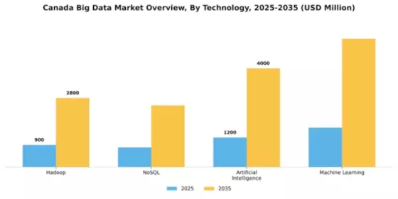 Canada Big Data Market Segment Image 3