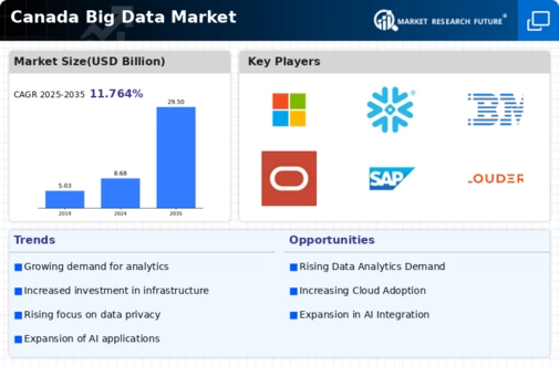 Canada Big Data Market Infographic