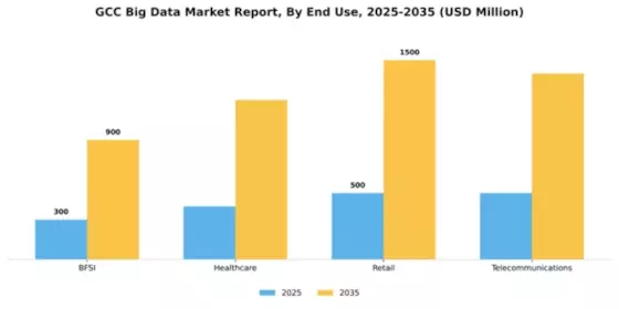 GCC Big Data Market Segment Image 2
