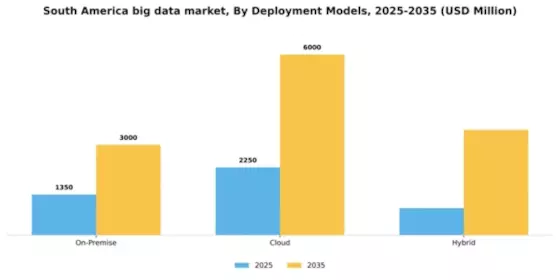 South America Big Data Market Segment Image 1