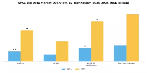 APAC Big Data Market Segment Image 3