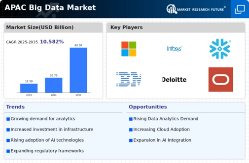 APAC Big Data Market Infographic