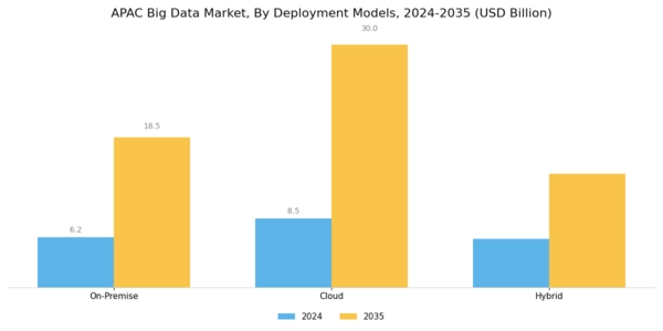 APAC Big Data Market Segment Image 1