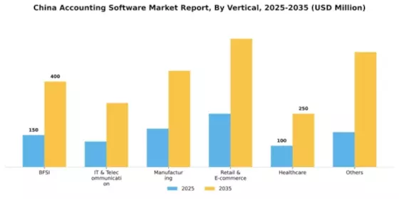 China Accounting Software Market Segment Image 3
