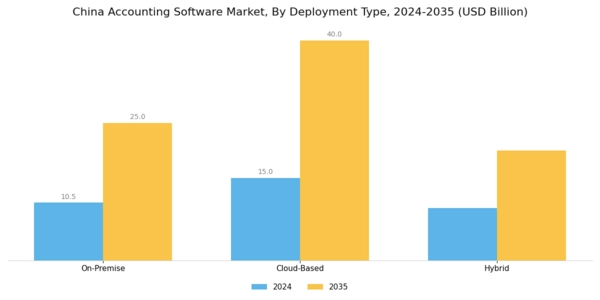 China Accounting Software Market Segment Image 1