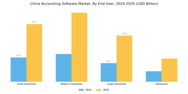 China Accounting Software Market Segment Image 2
