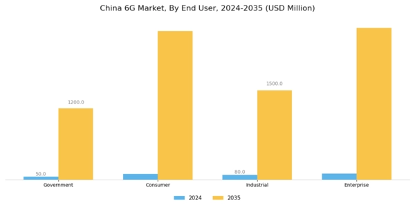 China 6G Market Segment Image 3