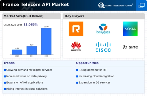 France Telecom API Market Infographic