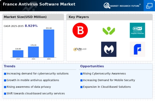 France Antivirus Software Market Infographic