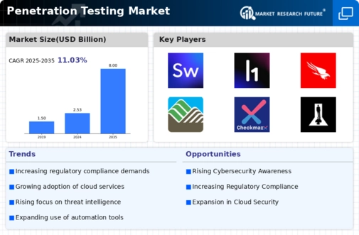 Penetration Testing Market Infographic
