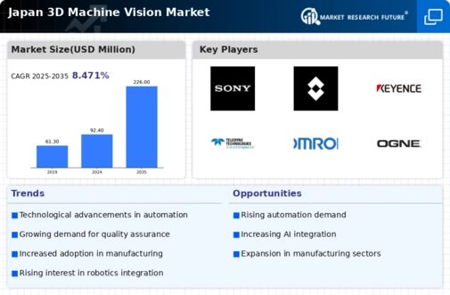 Japan 3D Machine Vision Market Infographic