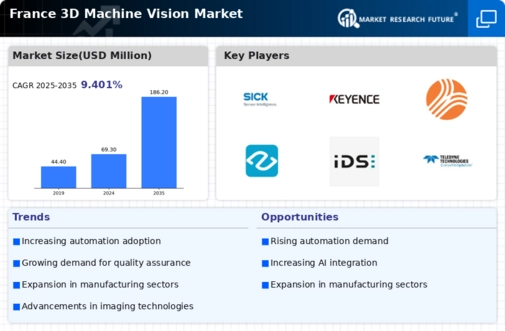 France 3D Machine Vision Market Infographic