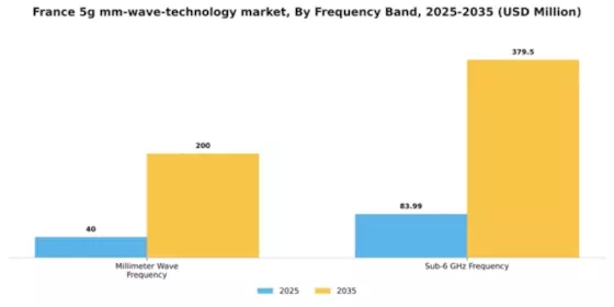 France 5G mm Wave Technology Market Segment Image 3