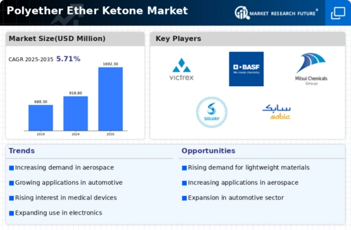 Polyether Ether Ketone Market Infographic