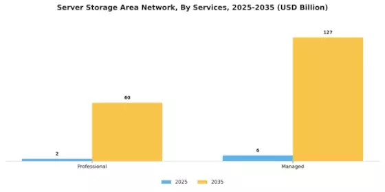 Server Storage Area Network Market Segment Image 1