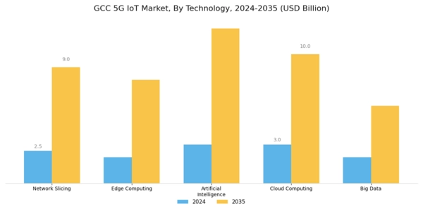 GCC 5G IoT Market Segment Image 2