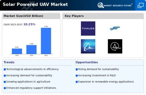 Solar Powered UAV Market Infographic