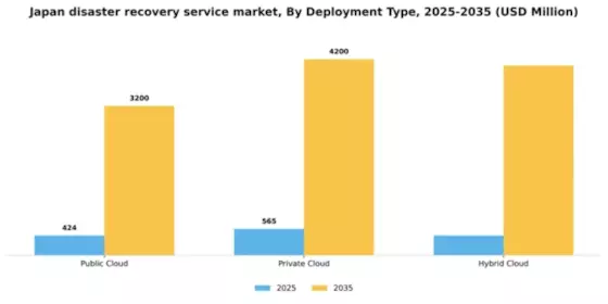Japan Disaster Recovery Service Market Segment Image 0