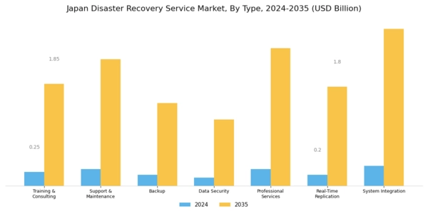 Japan Disaster Recovery Service Market Segment Image 0