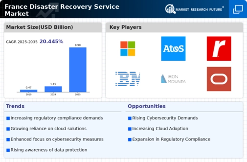 France Disaster Recovery Service Market Infographic