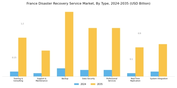 France Disaster Recovery Service Market Segment Image 0