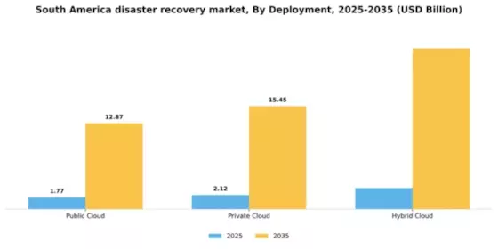 South America Disaster Recovery Service Market Segment Image 0