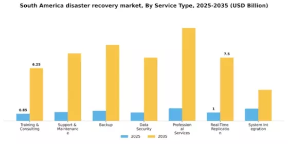 South America Disaster Recovery Service Market Segment Image 1