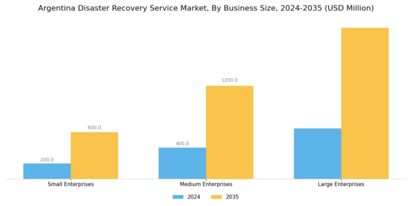 Argentina Disaster Recovery Service Market Segment Image 3