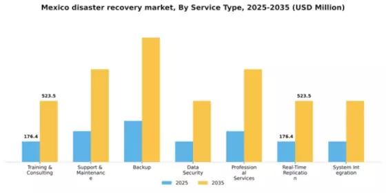 Mexico Disaster Recovery Service Market Segment Image 1