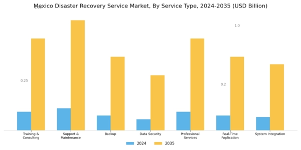 Mexico Disaster Recovery Service Market Segment Image 0