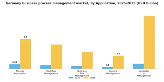 Germany Business Process Management Market Segment Image 0