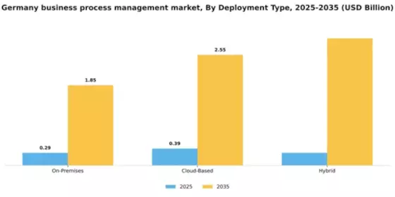 Germany Business Process Management Market Segment Image 1
