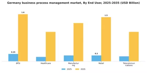 Germany Business Process Management Market Segment Image 2