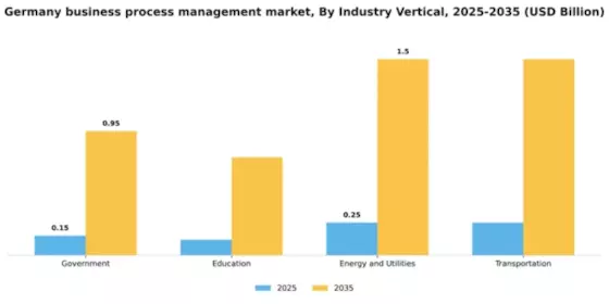 Germany Business Process Management Market Segment Image 3