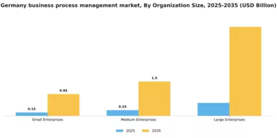 Germany Business Process Management Market Segment Image 4