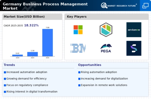 Germany Business Process Management Market Infographic