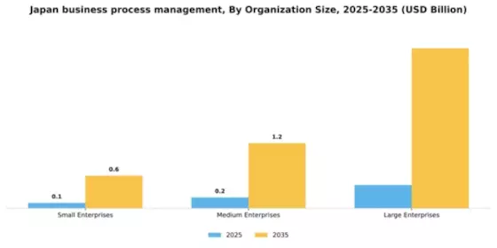 Japan Business Process Management Market Segment Image 4