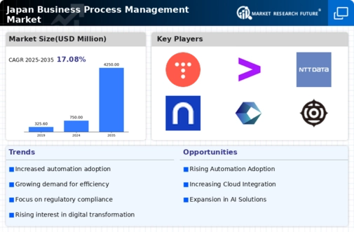 Japan Business Process Management Market Infographic