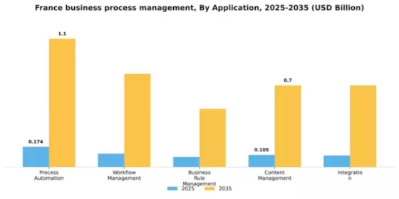 France Business Process Management Market Segment Image 0