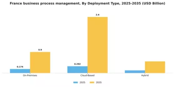 France Business Process Management Market Segment Image 1