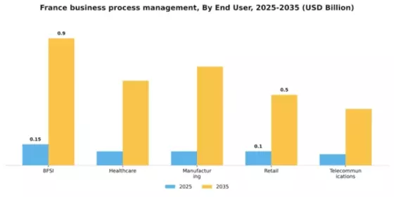 France Business Process Management Market Segment Image 2