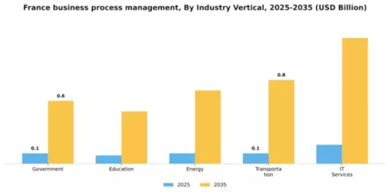 France Business Process Management Market Segment Image 3