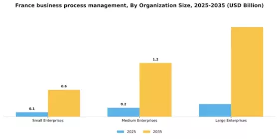France Business Process Management Market Segment Image 4