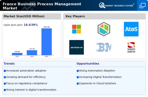 France Business Process Management Market Infographic