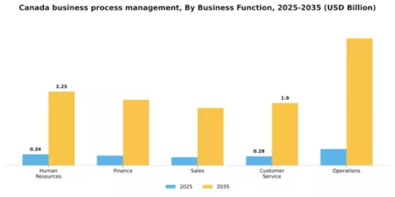 Canada Business Process Management Market Segment Image 1