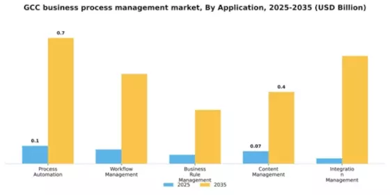 GCC Business Process Management Market Segment Image 0