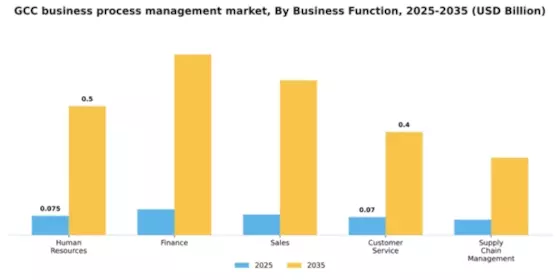 GCC Business Process Management Market Segment Image 1