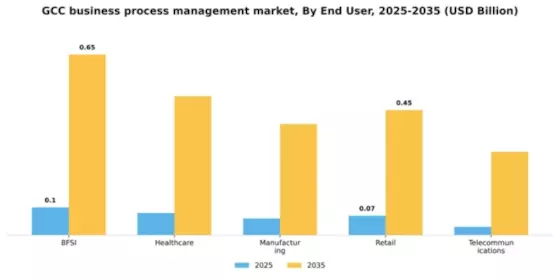 GCC Business Process Management Market Segment Image 3