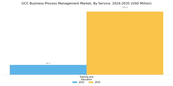 GCC Business Process Management Market Segment Image 1