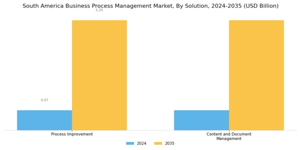 South America Business Process Management Market Segment Image 0